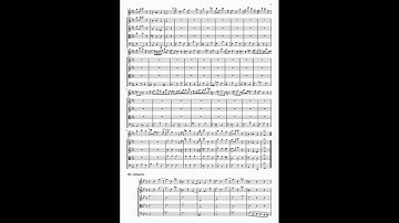 Vivaldi - Concerto in C Minor for Recorder and Strings, RV 441 (Score)