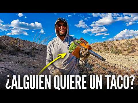El truco genial para que tu cactus enraíce 4.5 veces más rápido