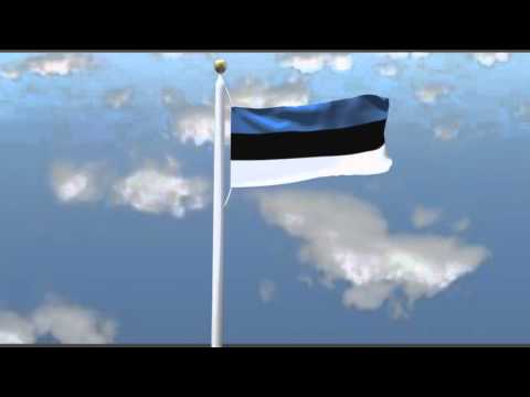Blender Flag animation