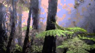 Sounds Forest Rain at Night Part 34