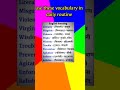 Daily english vocabulary# english vocabulary # simple vocabulary # shorts# viral shorts#