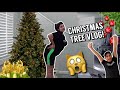I GOT THE WORLD'S BIGGEST CHRISTMAS TREE!