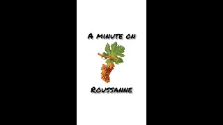 Roussanne: A One Minute Summary on History, Growing, and Winemaking #shorts