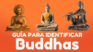 GUÍA PARA IDENTIFICAR BUDDHAS // DHARMATIC