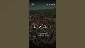 ما تيسر من سورة غافر SURAH GHAFIR || #عبدالولي_الاركاني #ABDULWALI_ALARKANI