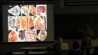 Famous 140 Million years of Tropical Landscape Evolution Wealth