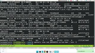 BIOL315 - 2026 - CLASS - Computational Biology - Lecture 6 - Mapping and Variant Calling