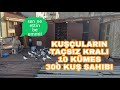 KUŞÇULARIN MASTER YAPMIŞ ABİSİ İZLEMEDEN GEÇME