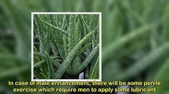 Why Aloe Vera Good for Men? 7 Powerful Benefits of Aloe Vera for Male Enhancement