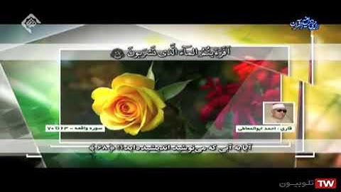 سورة الواقعة 63-70 مقطع من روائع تلاوات الشيخ أحمد أبو المعاطي