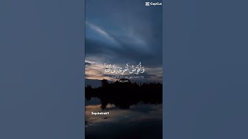 ايه جميله(وافوض امري الي الله ان الله بصير بالعباد) سوره غافر #استمعوا_وانصتوا_لعلكم_ترحمون #اكسبلور