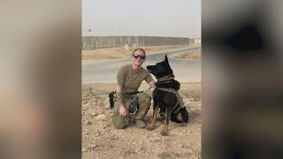 Military working dog reunited with handler