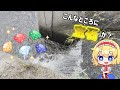 【ゆっくり実況】『川の宝石』の甘露煮【ゆっくり料理】【ゆっくり解説】