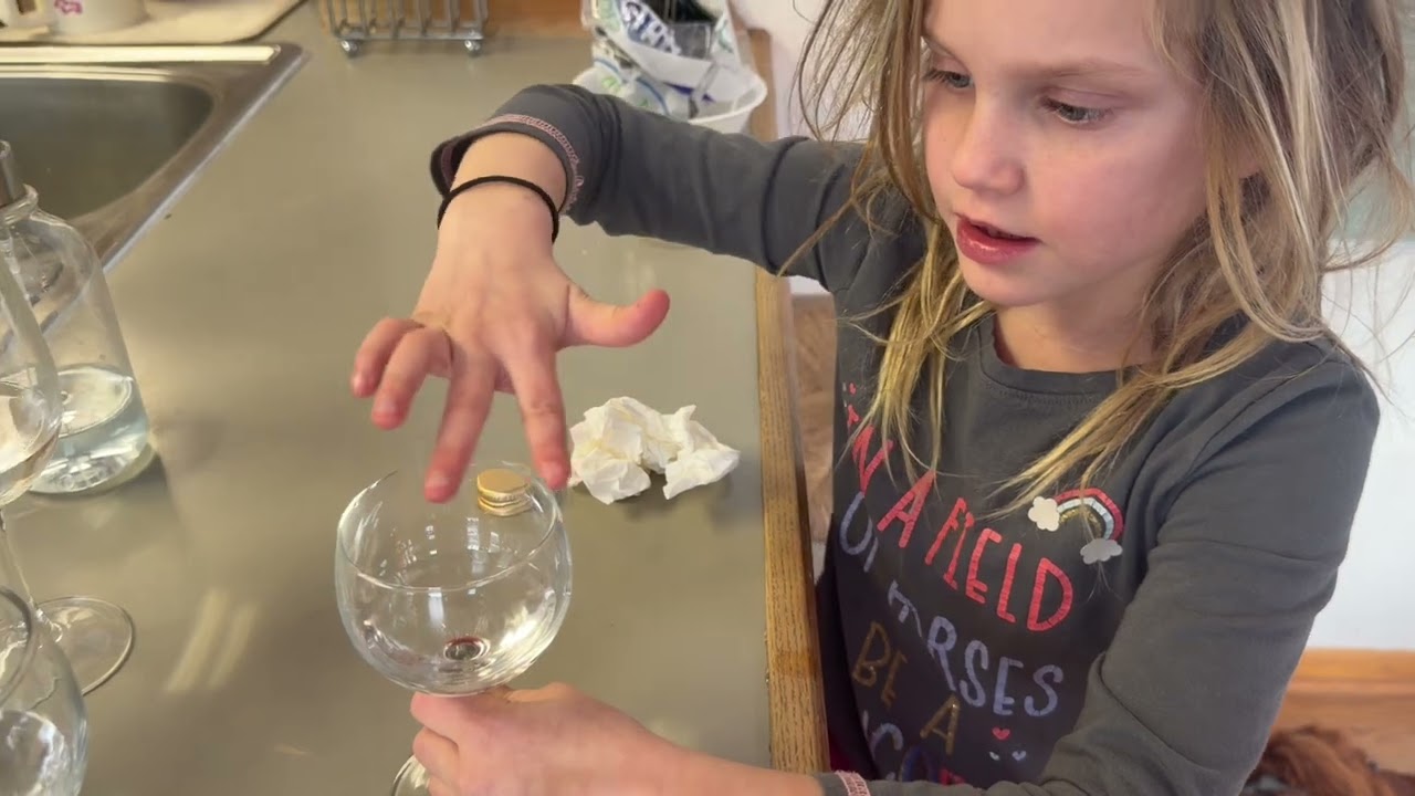 CC Cycle 2 Wk 13 Science Humming Glass