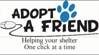 Adopt A Friend Animal Shelter Software screenshot 2