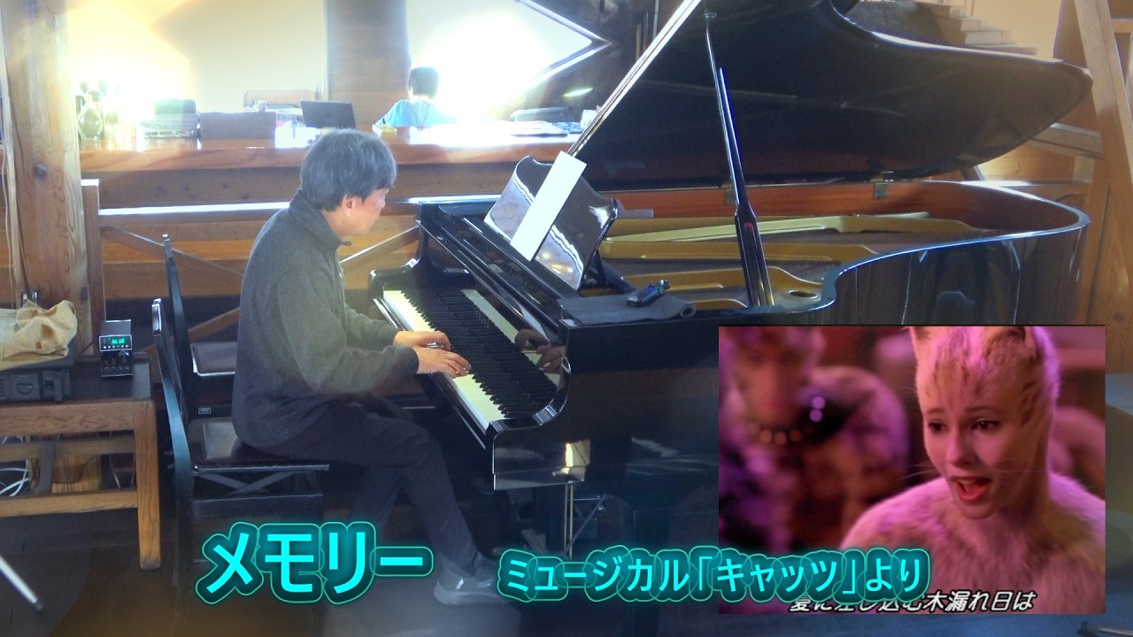 オルゴール - Memory キャッツ REUGE 「メモリー」ミュージカル 72弁 