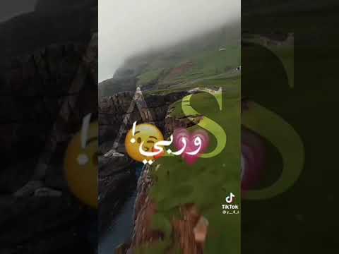 حب عمري كيمو كونو