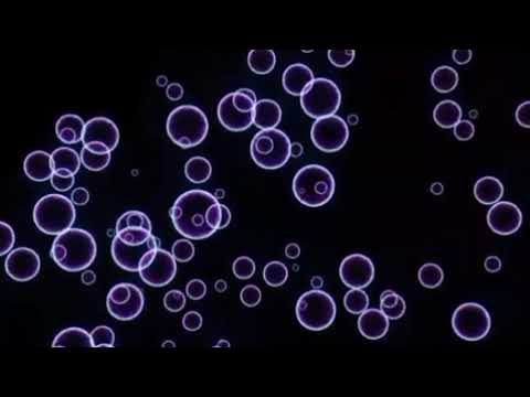 Bailar Scream - House Music Tahun 2000an