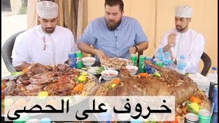 المظبي على الحصى في موطنه الأصلي - صلالة عمان 🇴🇲 موسم٤/ح٤