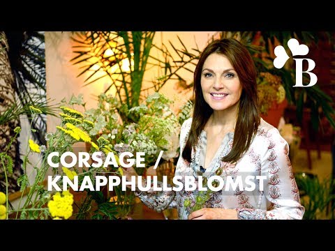 Video: Skal boutonniere og corsage matche?