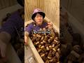 【Vlog】きのこの山＆たけのこの里ランドでお菓子を爆食いしてきました！#きのこの山 #たけのこの里 #meiji #vlog #ふるふる