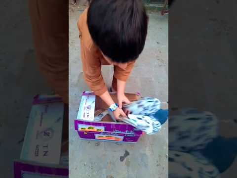 new pigeons agay #kabootar #ytshorts #viral #feedshorts #pigeonslovers