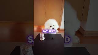 The Ultimate Betrayal