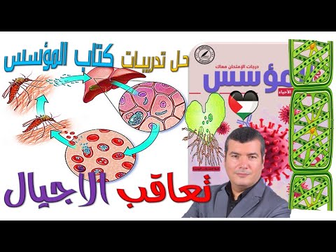 حل تدريبات كتاب المؤسس على تعاقب الأجيال 2026 