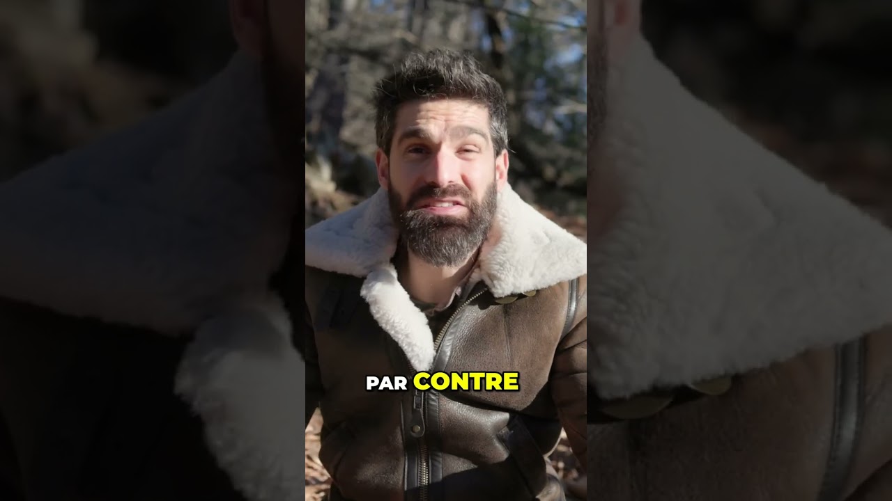 Momochi Tamba: Ninja Légendaire ou Mythe ? #shorts
