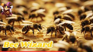 Wizards (Visualizer) // Low Poly Intelligent DnB | Jungle | Liquid | Break Mix for Chillout & Study