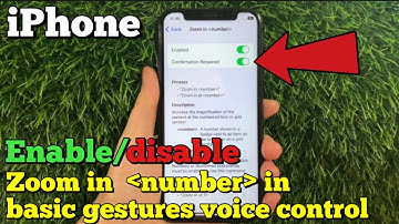 How to enable or disable zoom in number in basic gestures voice control on iPhone X