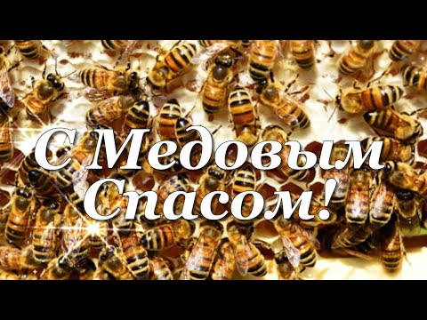 С Медовым Спасом поздравляю! Благ, процветания желаю! 🍯🍯🍯