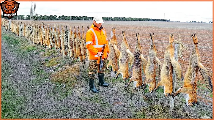 How Thousands Of Coyotes and Bears Were Brought Down By Hunters in The U.S | Invasive Species