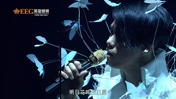 張敬軒 Hins Cheung 櫻花樹下 Hins Live In Passion 2014 