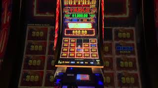 2 Minors Buffalo wincasinoslotslasvegas wheeloffortune jackpotwinning gambling buffalolink