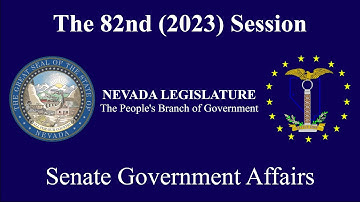 5/24/2023 - Senate Committee on Government Affairs