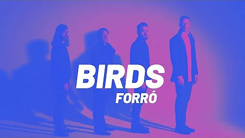 Imagine Dragons - Birds (FORRÓ Remix) FZIRO NO BEAT