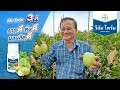 วีลัม ไพร์ม 3 ดี "รากดี ต้นดี ผลผลิตดี" || รีวิวจาก คุณจันทร์ ชาวบ้านเกาะ (บ้านแพ้ว สมุทรสาคร)