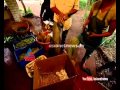 Nalla Mannu 2014 videos Organic