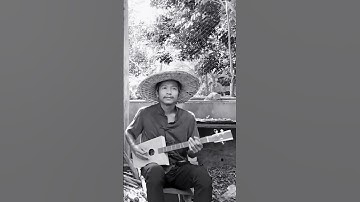 Thumbnail of ลายพิณนกไซบินข้ามทุ่ง #พิณ #traditionalmusic #ม่วนๆ