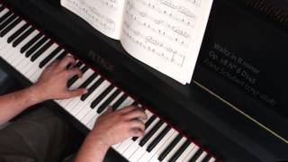 Waltz in B minor Op. 18 N° 6 D145 - Franz Schubert