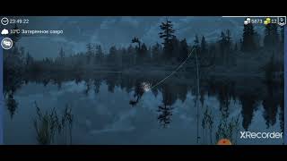 Где поймать линя в игре my fishing world