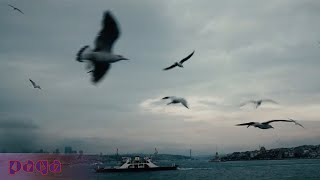 Caner Öner - İstanbul Bizim Gibi Resimi