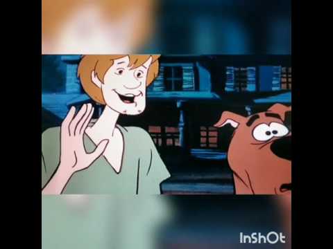 Mystery or Pizza Pie? Scooby Doo