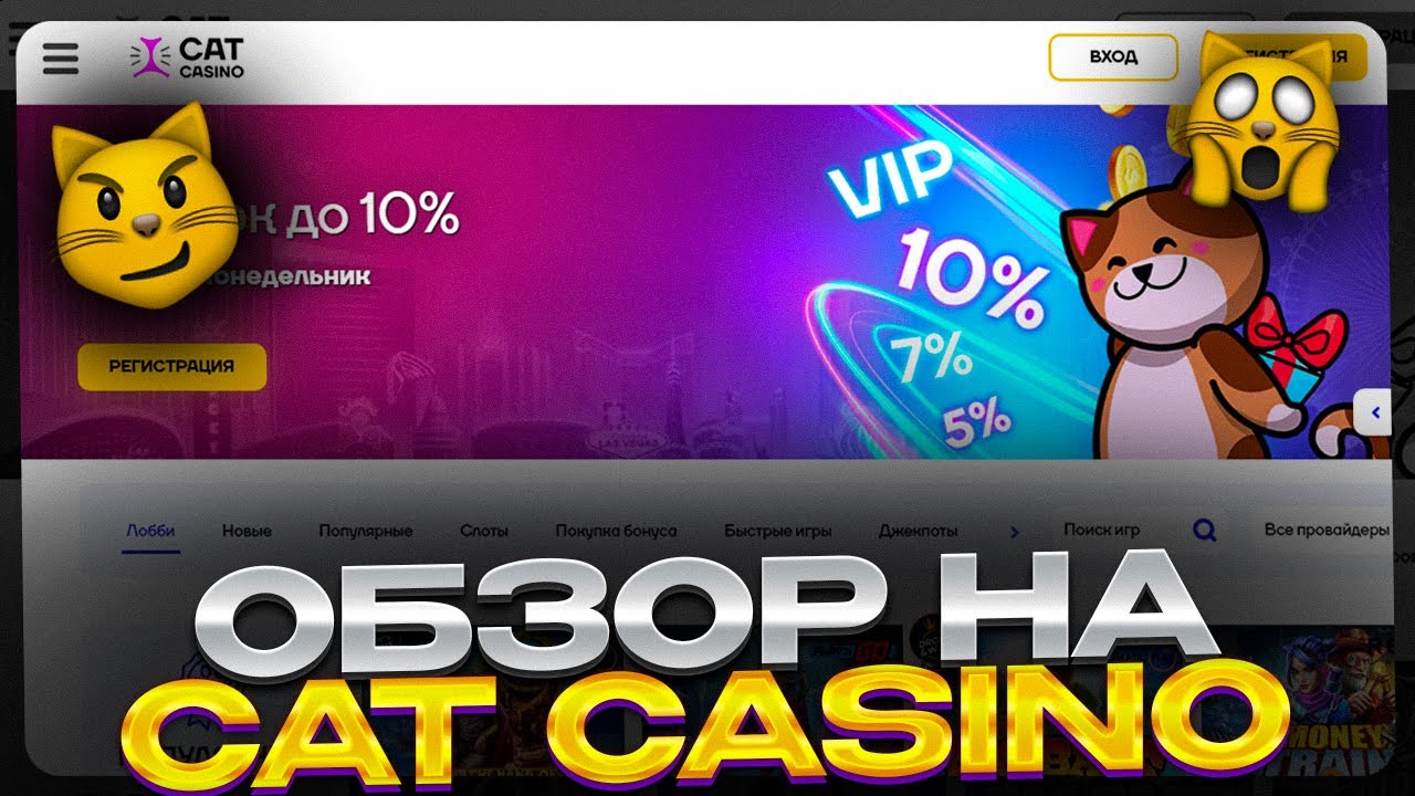 Cat casino регистрация cat casinos shop. Кэт казино. Cat казино. Казино кетс зеркало. Слот с кошками.