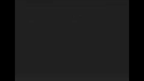 The Distortionist // Ghost and Pals