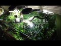 Интернет-магазин студия NatureAqua