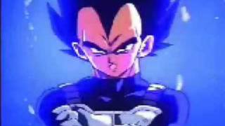 Vegeta is Headstrong