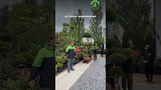 Большой выбор растений в Ростов-на-Дону, Левобережная 19 #озеленениеростов #питомникрастений #сад