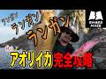 ランガンエギングで狙う秋の良型アオリイカ【エンバーメイズ】